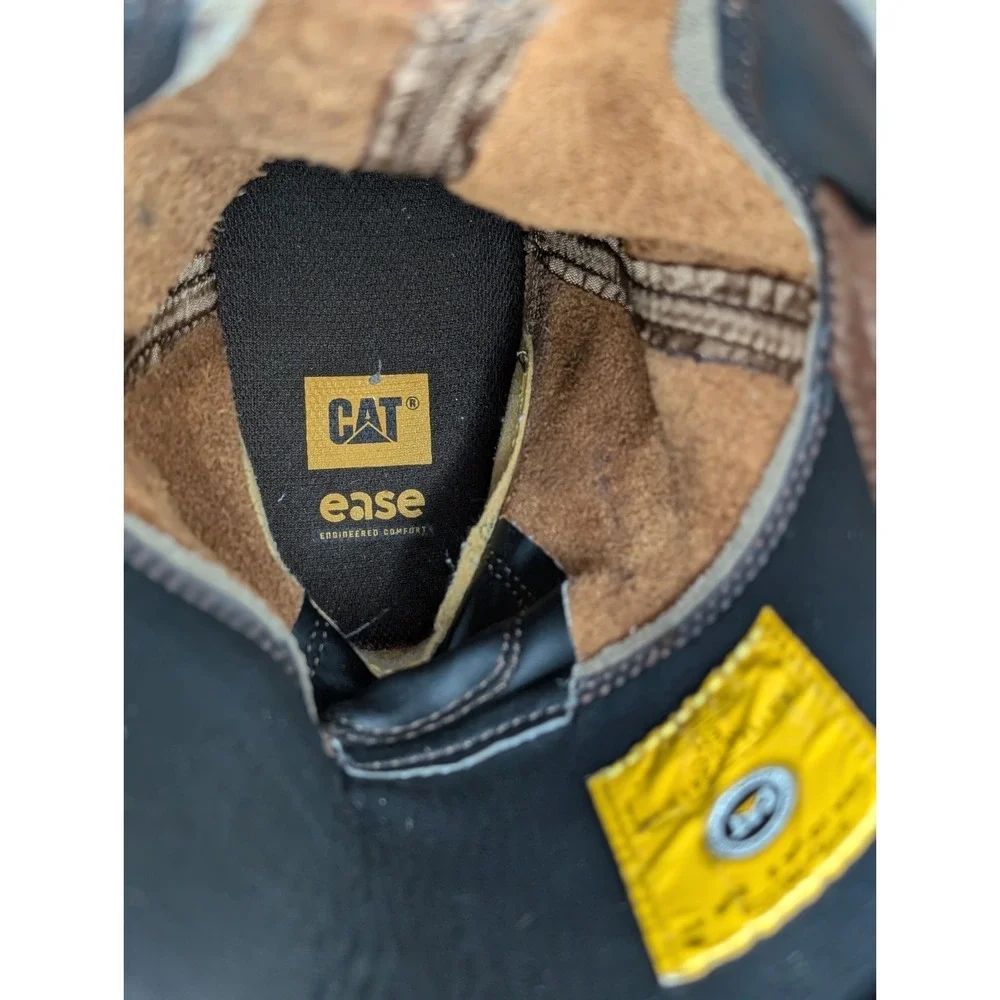 Cat great no